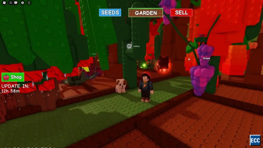 How to Get Grape Seeds in Grow a Garden