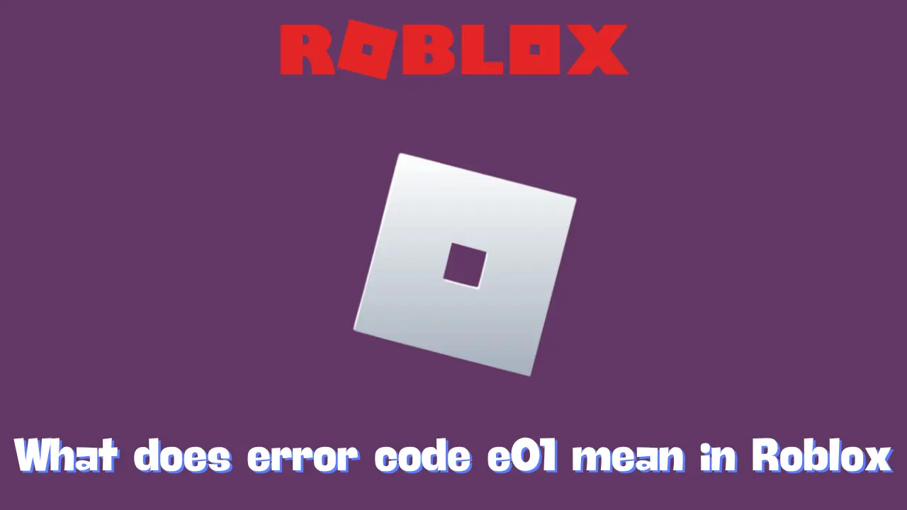 What does error code e01 mean in Roblox