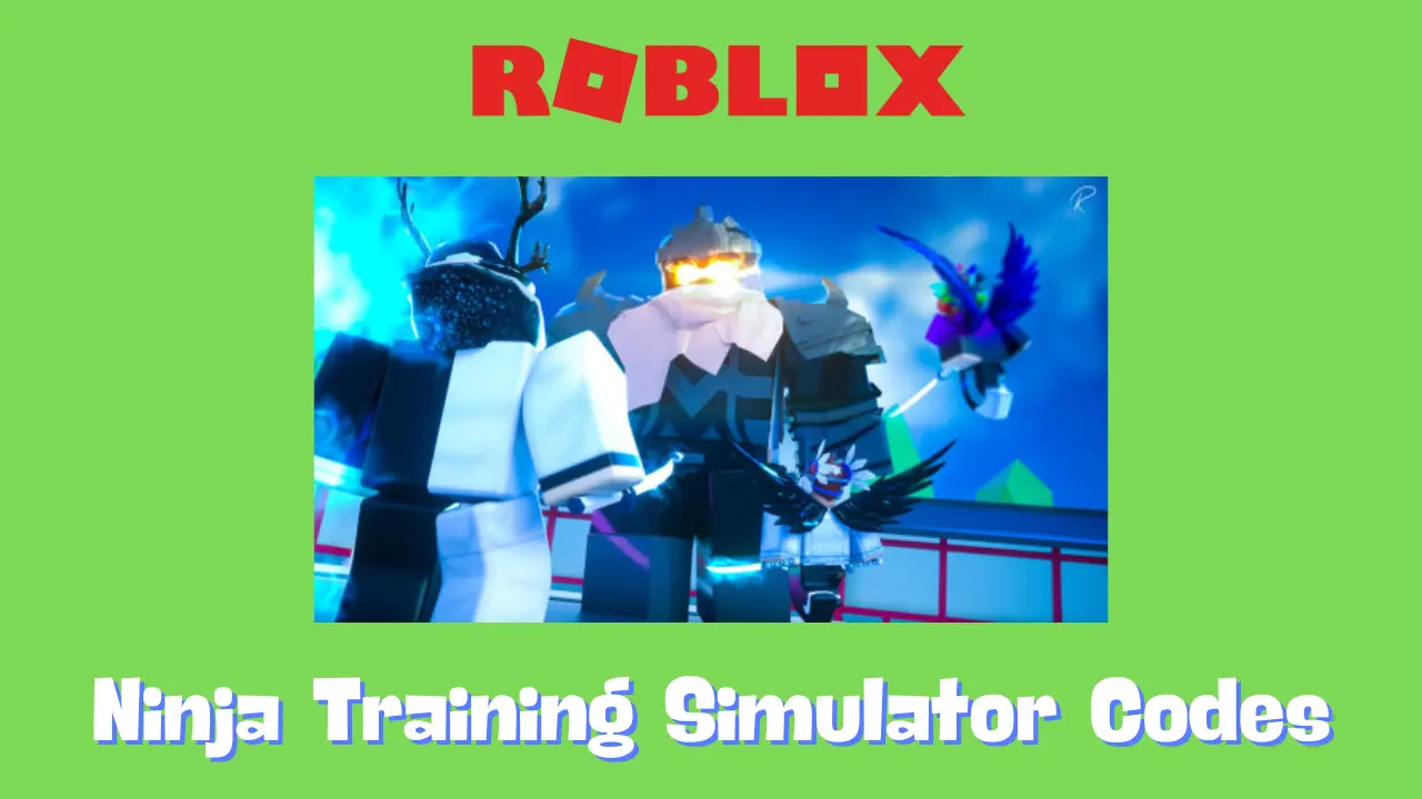 Ninja Training Simulator Codes